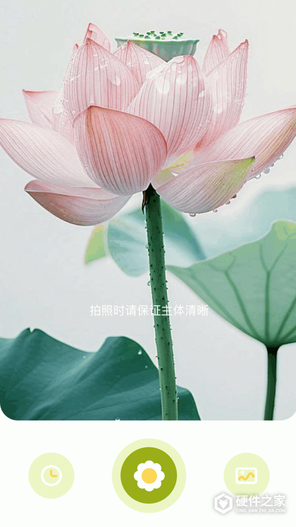花草妙识