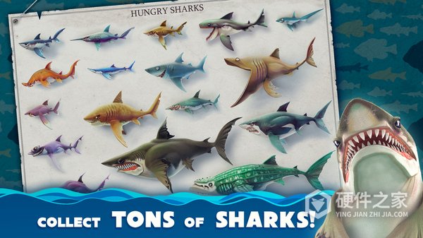 饥饿鲨世界国际服正版(Hungry Shark)