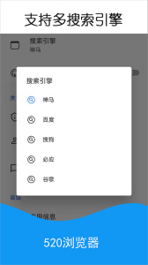 520浏览器