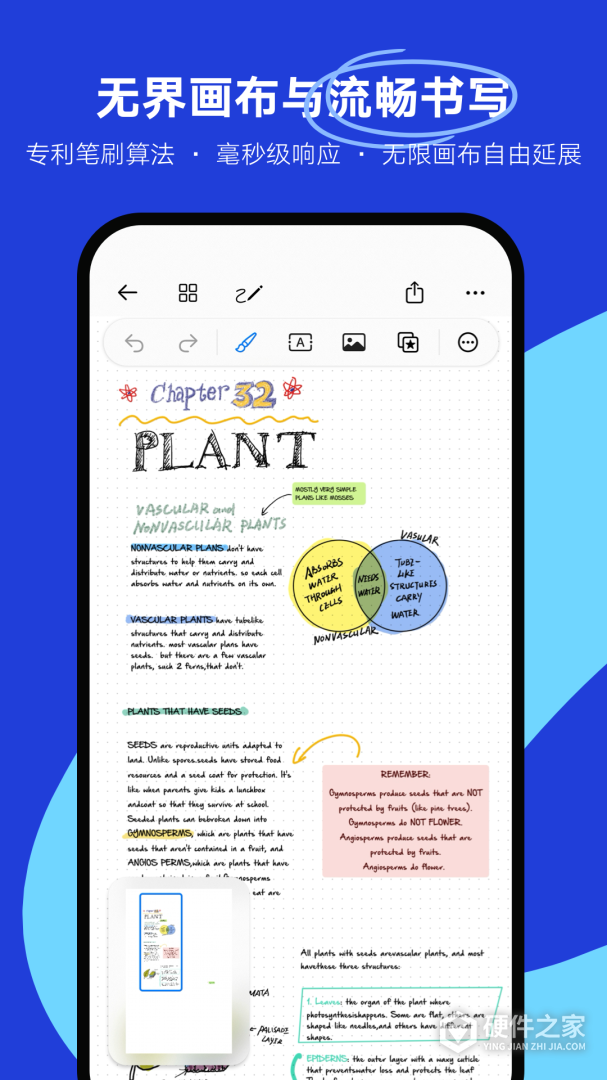 Notein一笔记