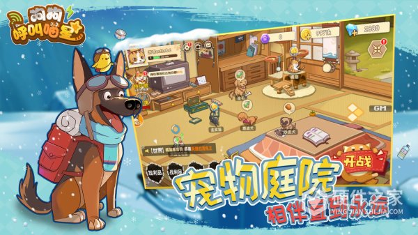 狗狗呼叫喵星九游版