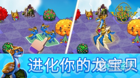 萌龙进化论测试服