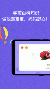 宝宝识字