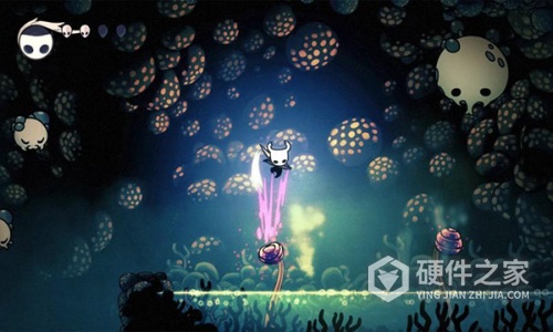 空洞骑士巴西服