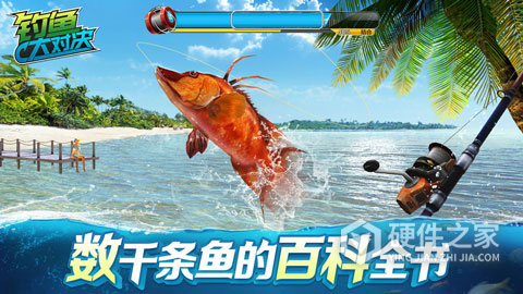 钓鱼大对决