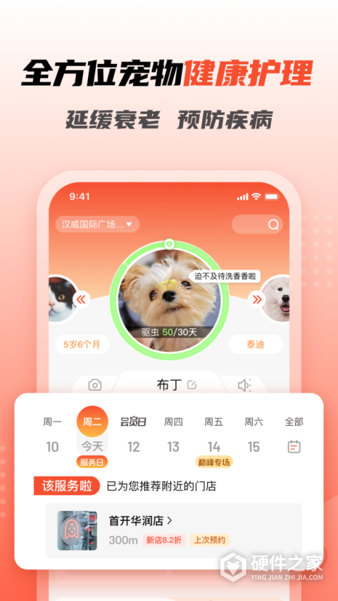 宠物家app