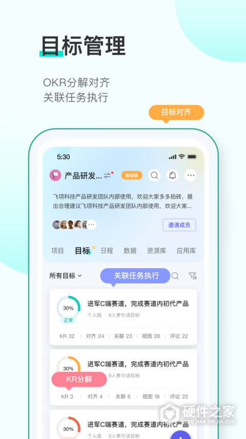 飞项app