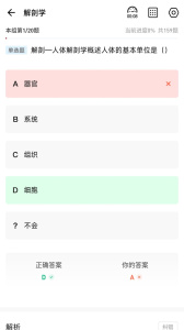 红师在线