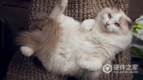 有哪些恢复清晰图片的软件