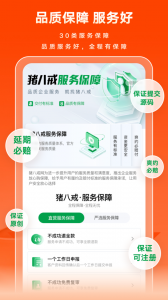 猪八戒