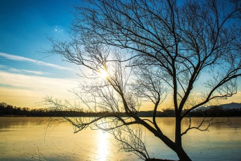 u盘误删数据怎么恢复