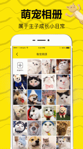 猫语翻译