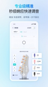恩雅音乐