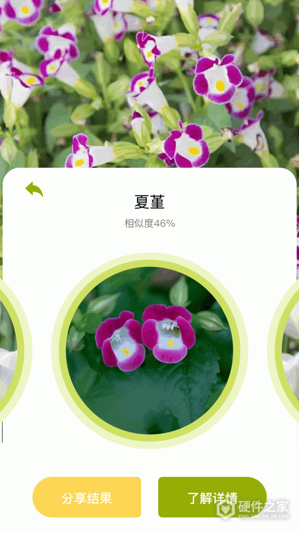 花草妙识