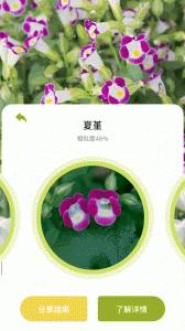 花草妙识
