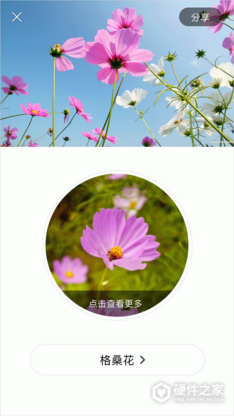 识花手机软件