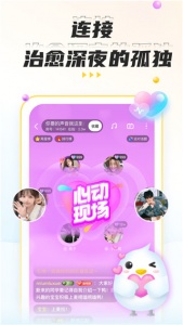 不鸽语音一对一版