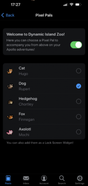iPhone14灵动岛宠物怎么设置