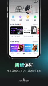 恩雅音乐