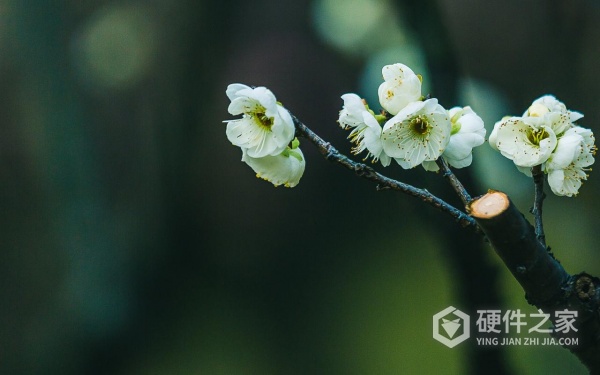 保密柜里的东西删了复原方式一览