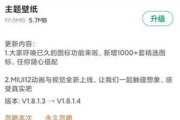 miui12玩王者卡解决方法