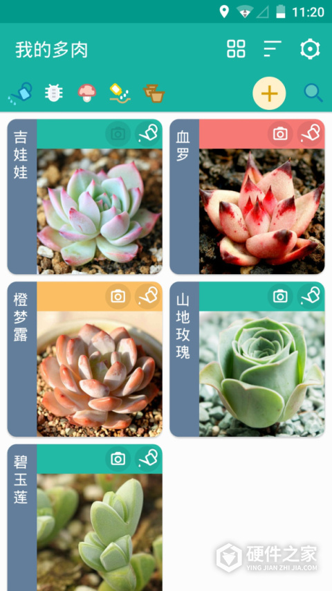 多肉成长记app