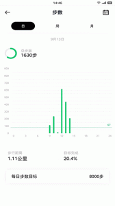 花豹穿戴