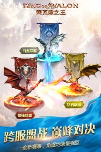 阿瓦隆之王测试服