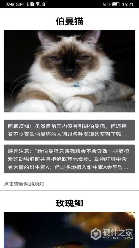 拍照识花神器