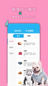 人猫人狗翻译交流器