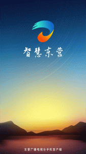 智慧东营