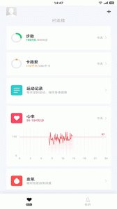 花豹穿戴
