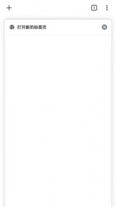 Google Chorm浏览器最新版