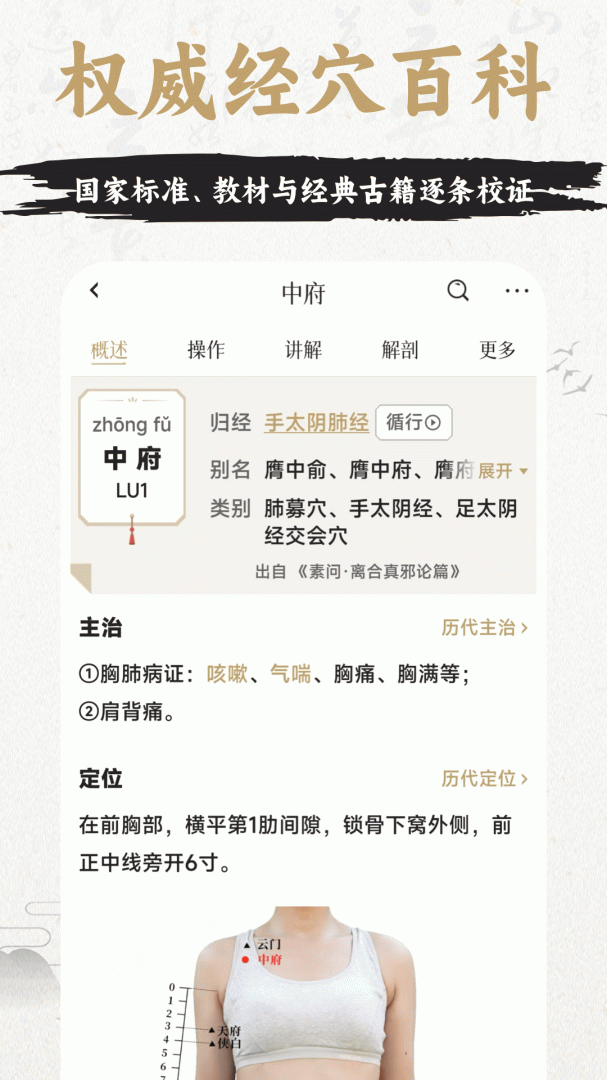 中济经络穴位官方版