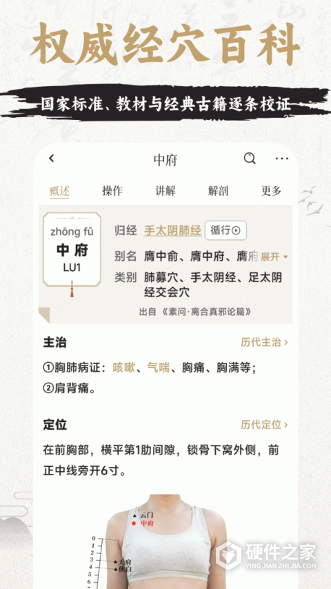 中济经络穴位官方版