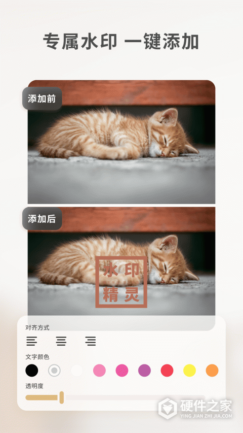 乐其爱水印精灵免费版