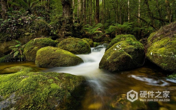 相机内存卡文件损坏恢复方式一览