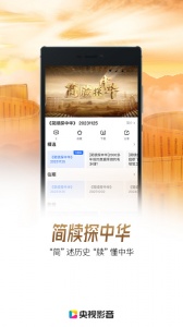 央视影音大字版