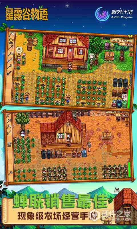 Stardew Valley