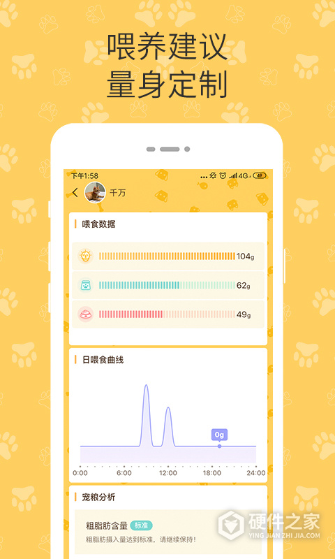 陪彼宠物