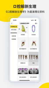 3DBody解剖