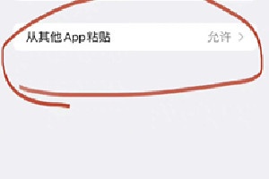 iOS16.1新增APP粘贴开关用法