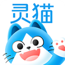 灵猫