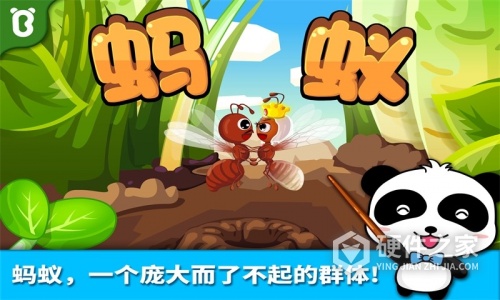 宝宝认蚂蚁