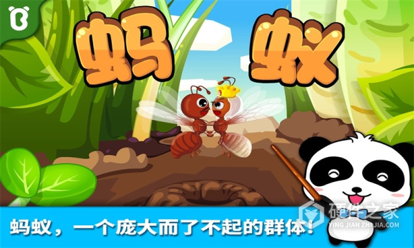 宝宝认蚂蚁手机版