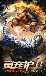 王城英雄渠道服