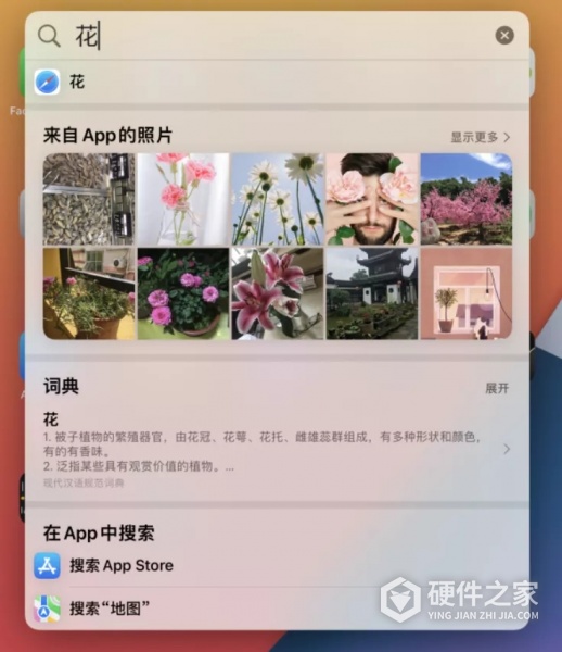iOS 15 聚焦功能支持搜索图片