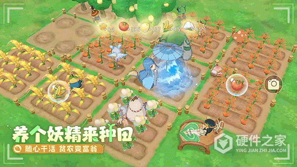 织梦森林测试版