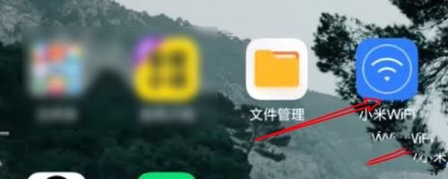 小米路由器数据修改保护功能怎么开启