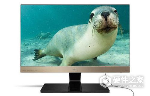 BENQ明基EX2780Q WHQL液晶显示器驱动